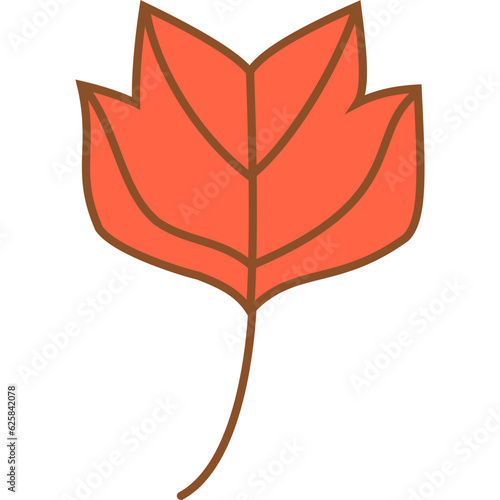 Autumn Leaf