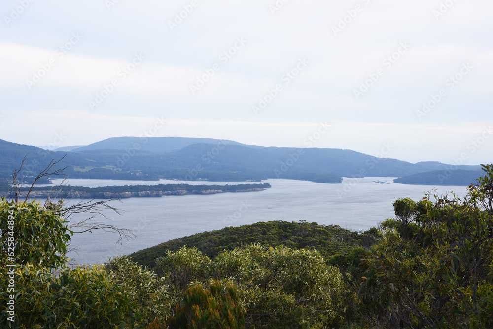 landscape portrait of hiking trails along  cape pillar, apart of the three cape trek in Tasmania, Australia.