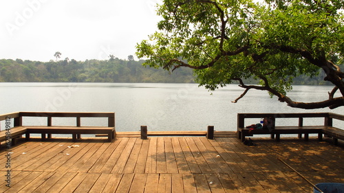 Dock with a tree on the lake