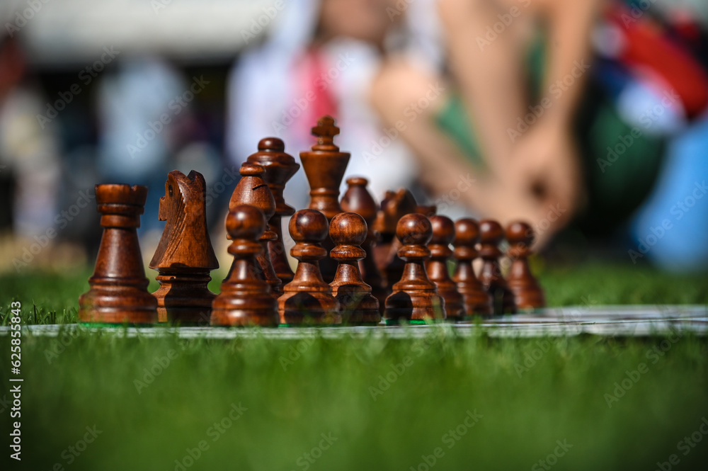 chess attributes on the lawn