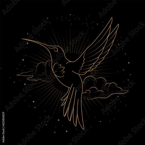 Celestial Magical Animal Hummingbird Illustration