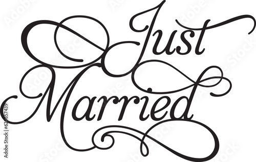 Just married design vector sign 