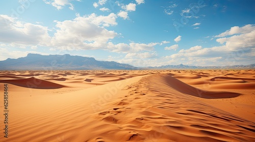 Desert sand dunes in Sinai desert