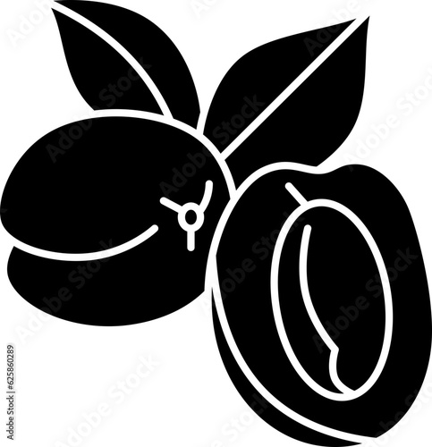 apricot  icon