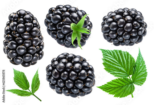 Collection of blackberry fruits and blackberry leaves isolated on white background.
