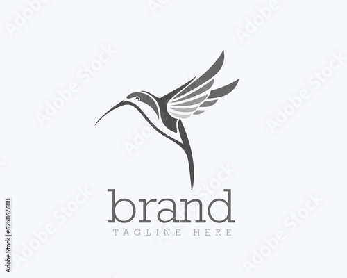 elegant abstract flying hummingbird logo icon symbol design template illustration inspiration