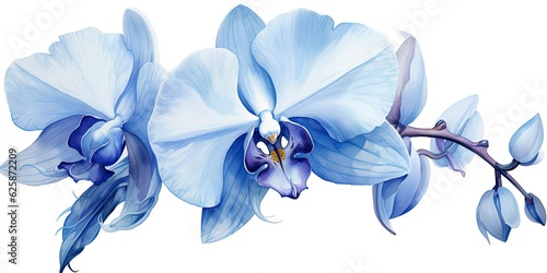Beautiful Isolated Watercolor Illustration of a Blue Orchid - Exquisite Floral Artistry in Shades of Blue Generative AI Digital Illustration
