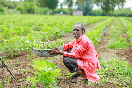 Indian happy farm worker , working in farm