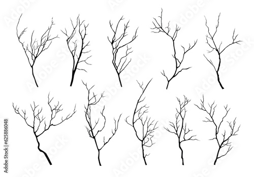 Leinwand Poster Collection of black silhouettes of tree branches isolated on transparent backgro