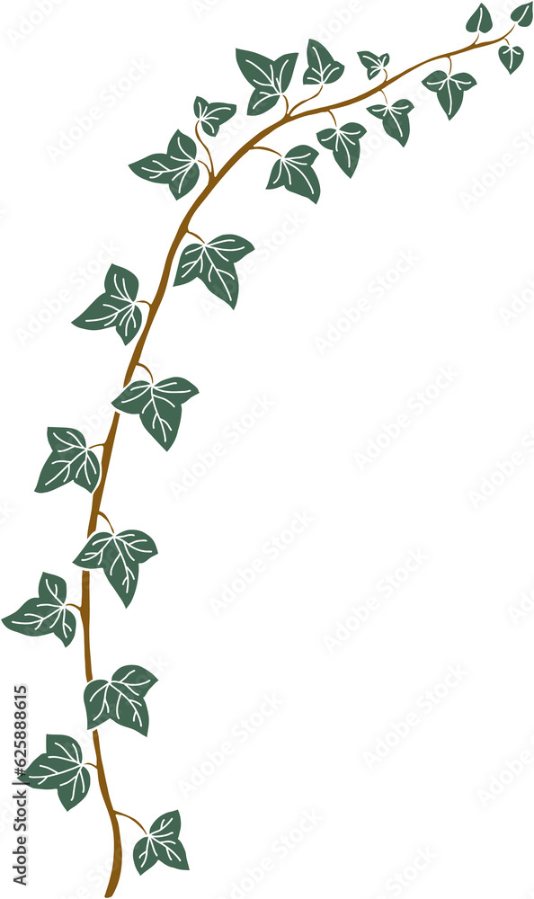 Simplicity ivy freehand drawing Simplicity ivy freehand drawing