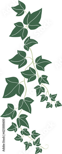 Simplicity ivy freehand drawing