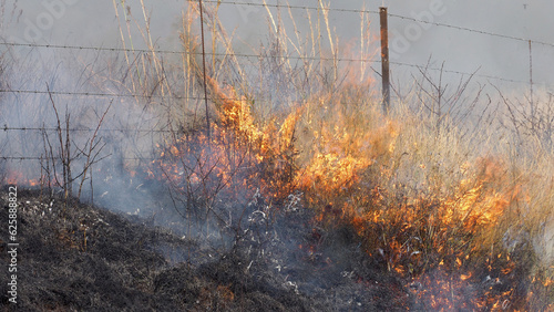 Stampa su tela Fire Management - Burning firebreaks in the KwaZulu-Natal Midlands, South Africa
