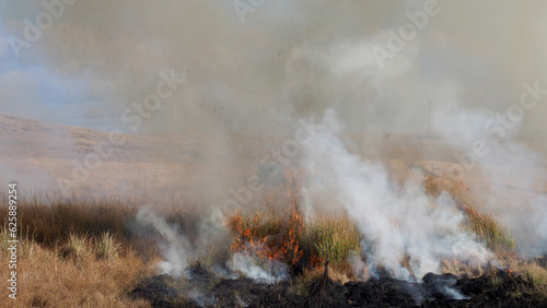 Fire Management - Burning firebreaks in the KwaZulu-Natal Midlands, South Africa