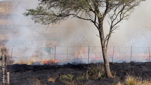 Canvas-taulu Fire Management - Burning firebreaks in the KwaZulu-Natal Midlands, South Africa