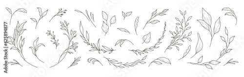 Hand drawn floral elements in line art style. Greenery for decoration, wild and garden plants, branches, leaves. Vector illustration for logo, tattoo, wedding invitation, save the date card