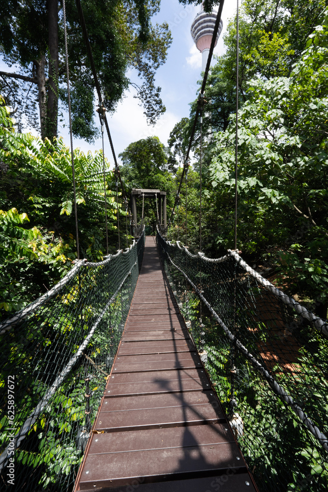 Obraz premium bridge in the forest