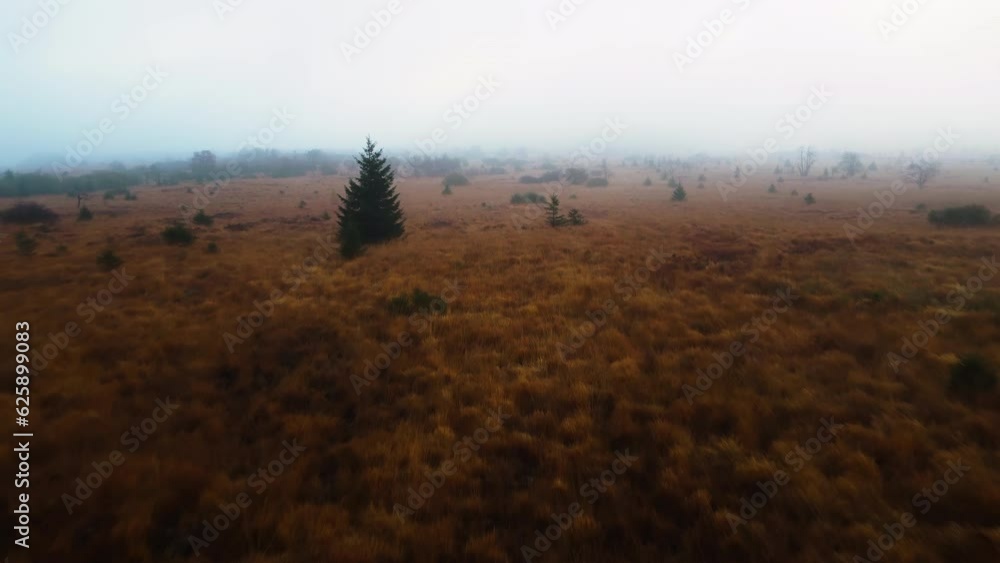 A drone pushes through a misty meadow with sparse trees in Belgium. A drone pushes through a misty meadow with sparse trees in Belgium.