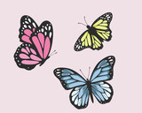 set of butterfly colorful vector design