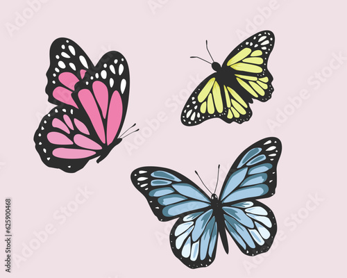set of butterfly colorful vector design