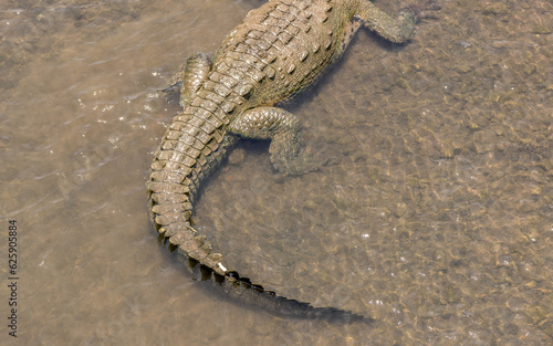 Costa Rica Natural Parks, monkeys, birds and wildlife