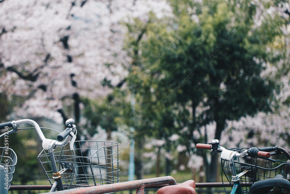 Bicycle parking in sukura pink flower blossom blooming park Bicycle parking in sukura pink flower blossom blooming park