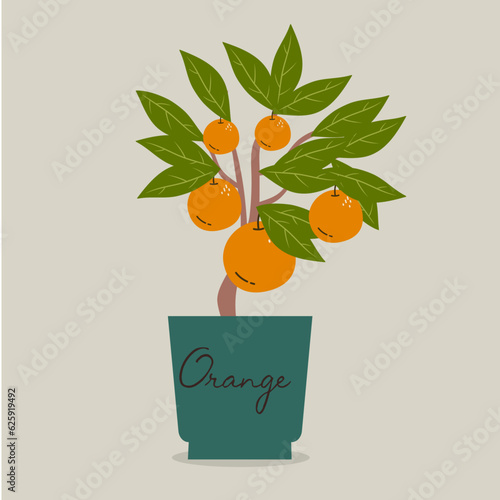 Flat Design Illustration with Orange Tree Pot