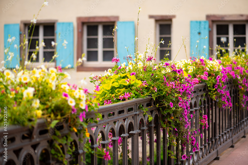Colorful summer flowers (Petunias) in pink, yellow and white on a historic bridge in old town “Little France“ of Strasbourg, Alsace. Old metal railing and facade with turquoise wooden shutters.