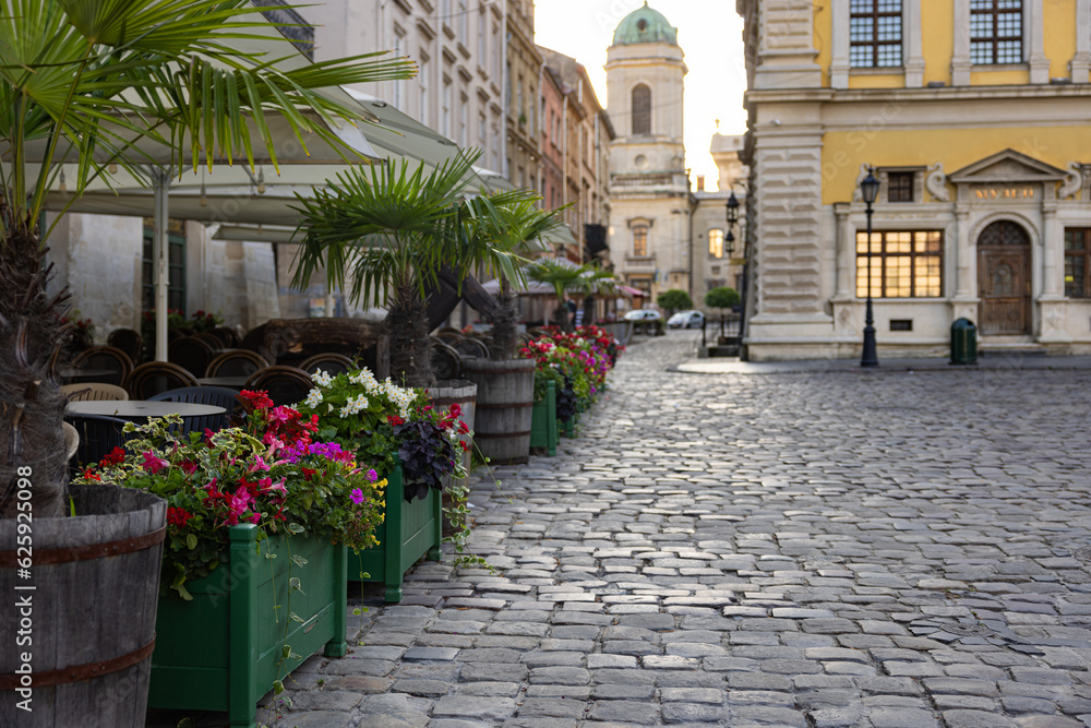 Flowerdeds in Lviv city center