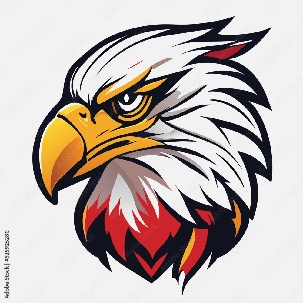american bald eagle head american bald eagle head