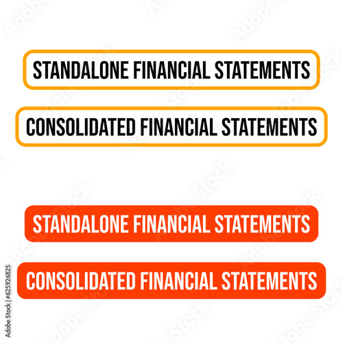 Standalone financial statements consolidated revenue business money button icon label design vector