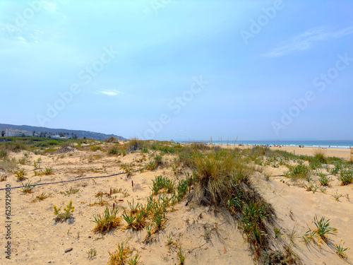 dunes and beach in Zahara de los Atunes with a view towards Atlanterra on a beautiful summer day, Playa del Cabo de la Plata, Andalusia, Cadiz Province, Spain