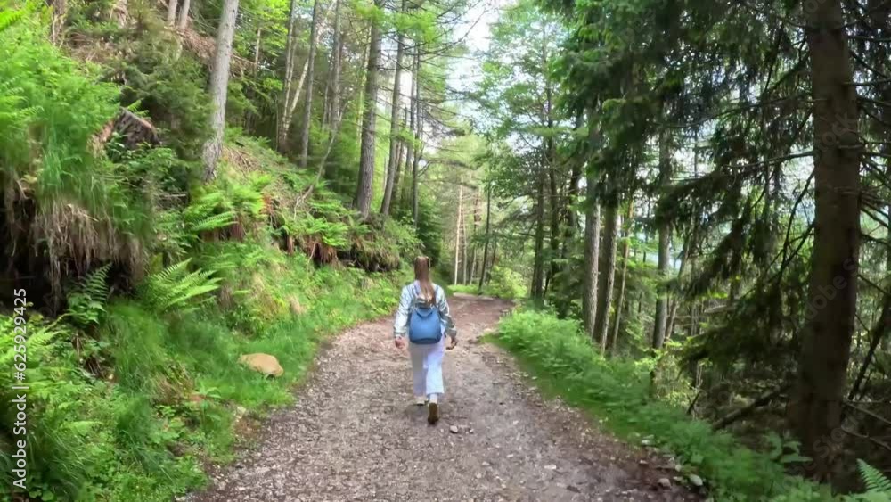 Woman walks on dirt road through mountain woods Woman walks on dirt road through mountain woods