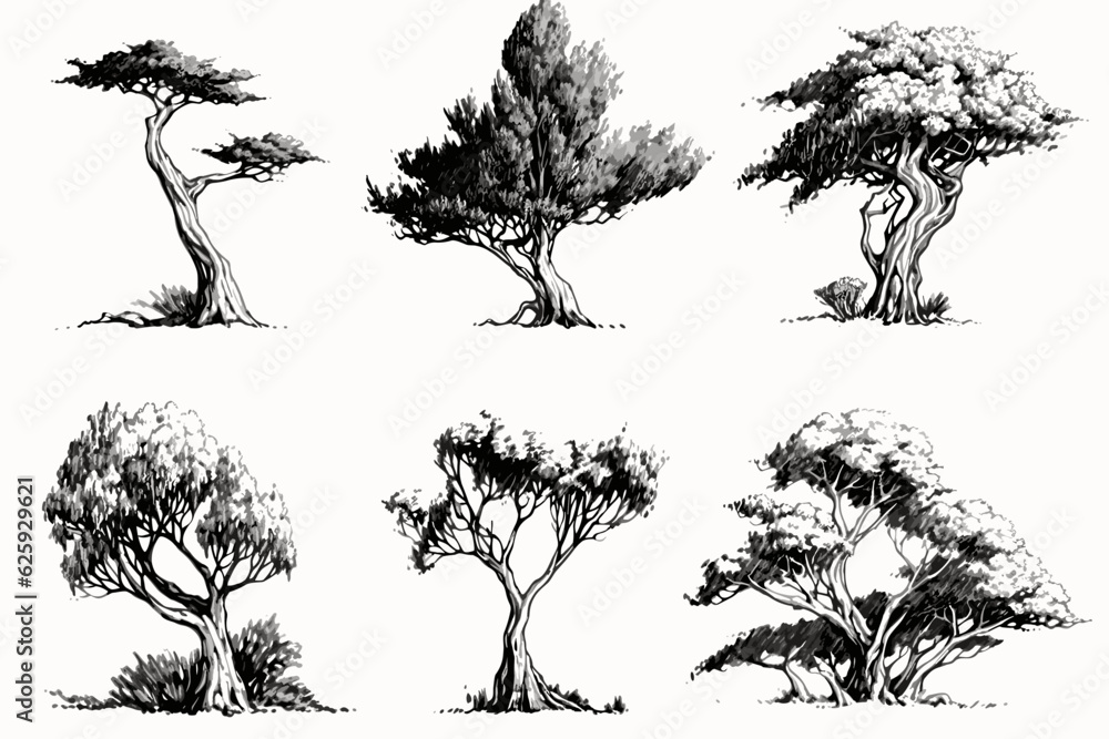 Fototapeta collection of trees vector, tree, nature, silhouette,