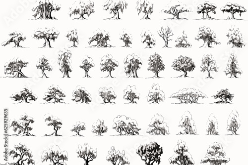 collection of trees vector, tree, nature, silhouette, © Elements Design