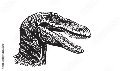 Graphical portrait of raptor isolated on white, vector illustration,head of dinosaur