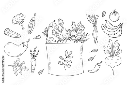Eco bag with vegetables. Collection vector outline hand drawings. Isolated paper bag with food, carrot, beetroot, tomato, cucumber, eggplant, peas and cauliflower on white background.