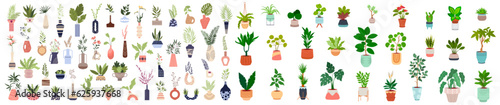 Decorative houseplants in pots. Set of interior house plants with baskets, flower pot for decoration, art. Mega set vector illustration
