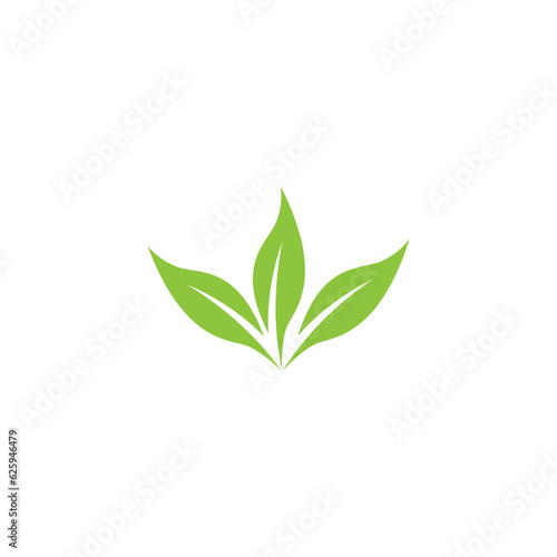 natural leaf mint green logo illustration design vector