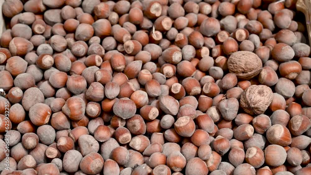 Hazelnuts for sale at the market. Ripe hazelnuts in shell. Hazelnuts for sale at the market. Ripe hazelnuts in shell.