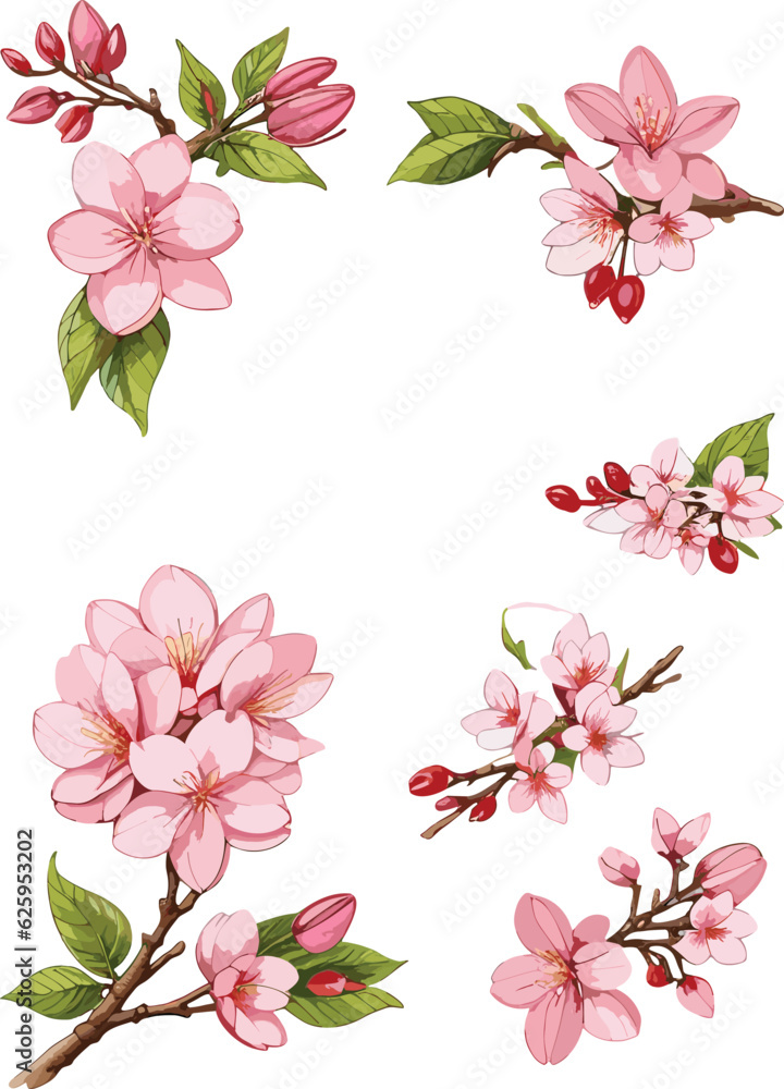 Obraz premium Watercolor illustration of cherry blossoms , A set of components (vector)