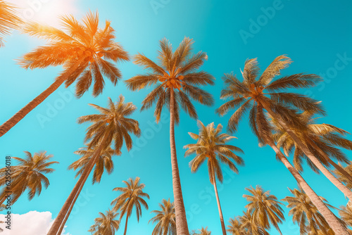 Palm tree branches over blue sky, tropical background with copyspace and frame Generative AI © Nataliia