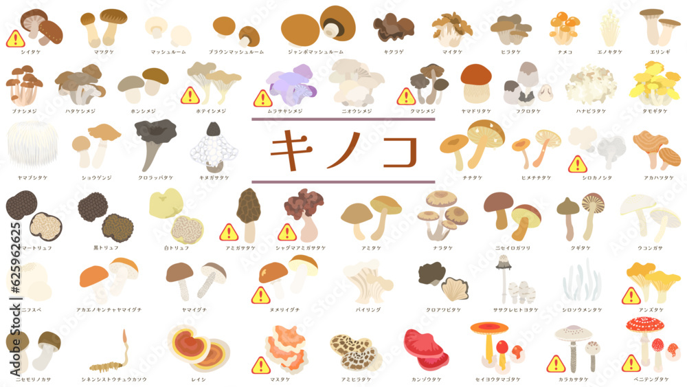 食用キノコ58種類のベクターイラストセット。生食や特定条件下で有毒なキノコには!マークを記載。 Vector illustration set ...