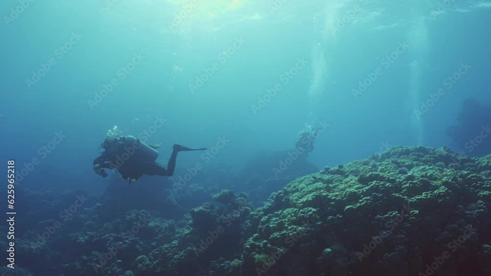Group of scuba divers swims in the deep over coral garden, Slow motion, Backlighting (Contre-jour) Group of scuba divers swims in the deep over coral garden, Slow motion, Backlighting (Contre-jour)
