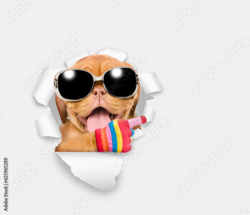 Happy Mastiff puppy wearing sunglasses looking through the hole in white paper and points away on empty space © Ermolaev Alexandr