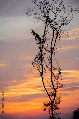 Awesome sunset natural view in the monsoon season in North east India.