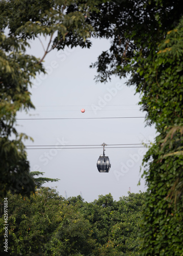 cable car framed by foliage, singapore