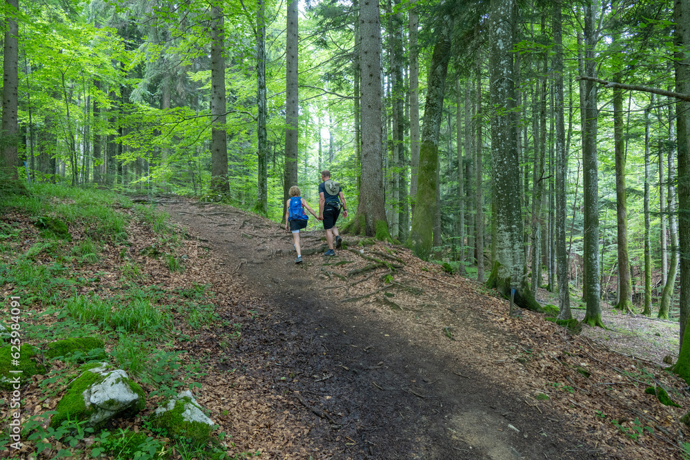 A Couple Walking in the Woods in Upper Austria near the Traunsee A Couple Walking in the Woods in Upper Austria near the Traunsee