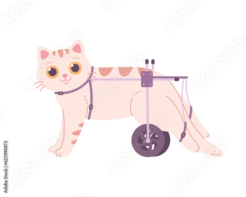 Cat with paralyzed hind legs. Cat in a wheelchair, veterinary medicine, vet clinic, disabled cat. Vector illustration in flat style