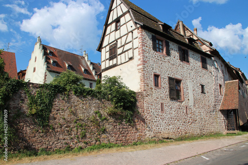 ramparts and houses in riquewihr in alsace (france)
