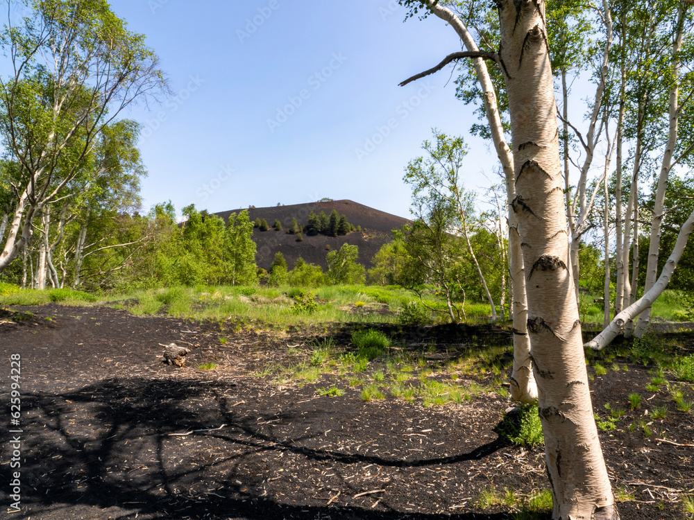 Fototapeta premium Mount Etna, Sicily